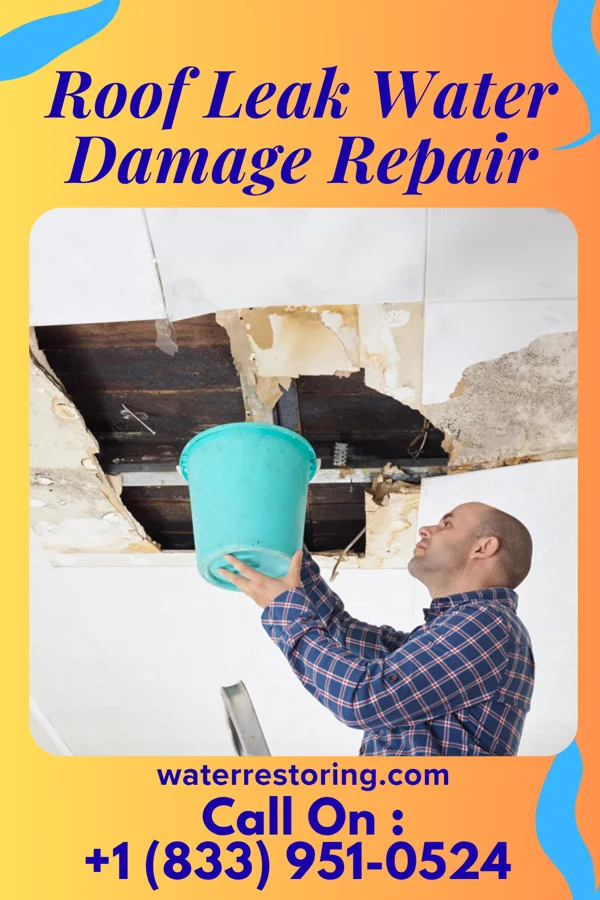 Roof Leak Water Damage Repair in Ripon, WI